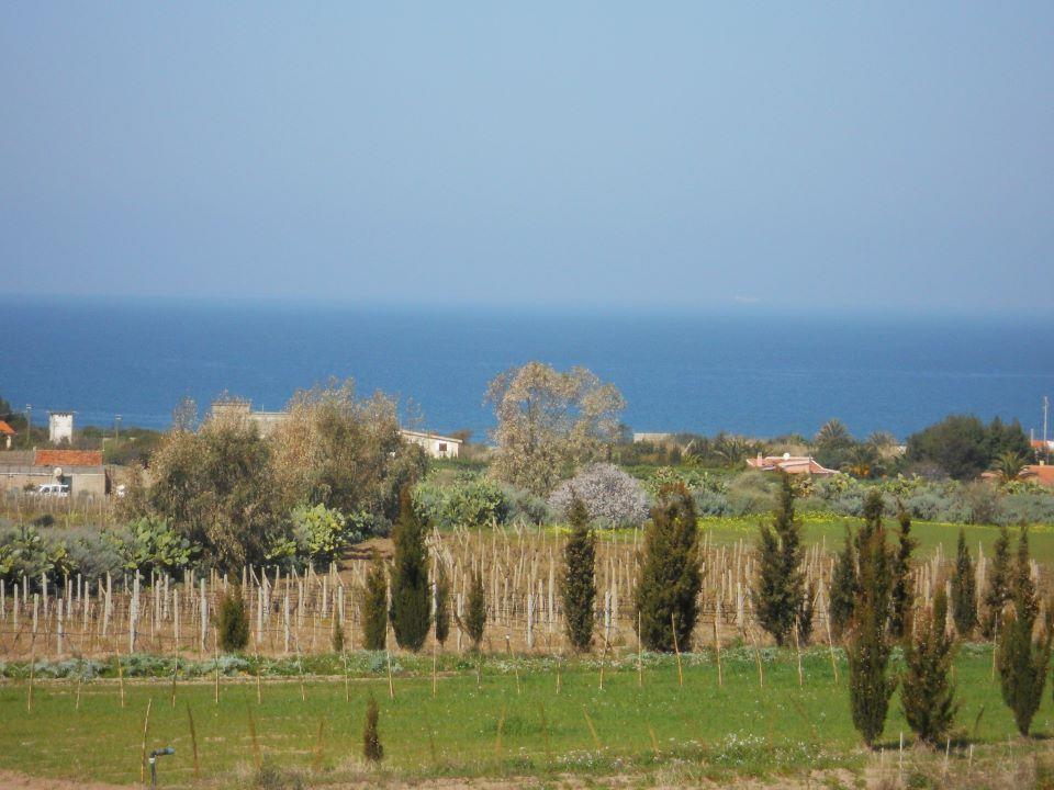 Agriturismo Tres Montes Sorso Exterior photo